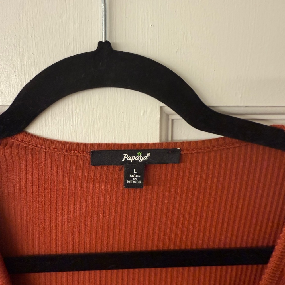 Papaya Rust V-Neck Blouse - Picture 2 of 2